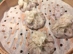-老阿妈蒙古村·蒙古包·草原文化·歌舞表演(老君堂店)