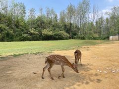 -杭州野生动物世界