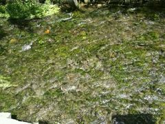 -水磨沟公园