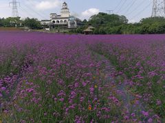 -紫颐香薰山谷景区