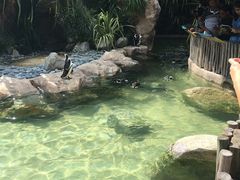 -新加坡飞禽公园