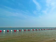 -碧海金沙