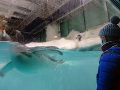 -大连圣亚海洋世界