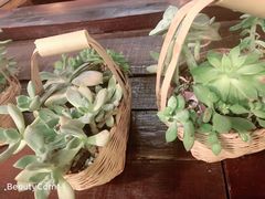 -尽善百年古院餐厅(王家老宅店)