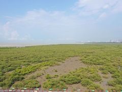 -北海金海湾红树林生态旅游区