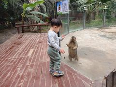 -呀路古热带植物园