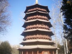 -北京世界公园