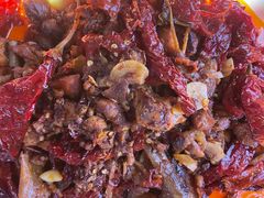 -柴窝堡22号辣子鸡·传承新疆菜