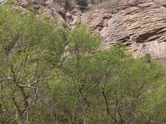 -苍岩山风景名胜区