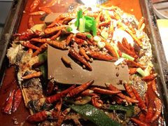 黄金组合-探鱼·鲜青椒爽麻烤鱼(广州欣荣广场店)