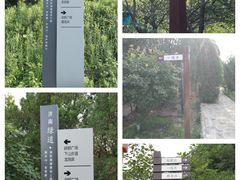 -龙洞风景区-藏龙涧