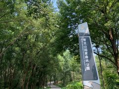 -青龙山国家森林公园