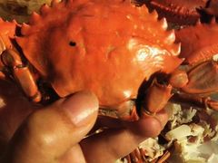 -蟹都汇(龙舟店)