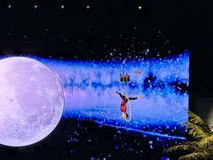 -海合安武汉极地海洋公园