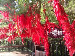 -老界岭旅游度假区