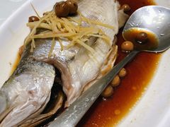 破布子午鱼-光头匠