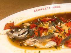 -丹江渔村(望京店)