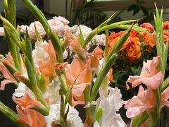 -ROIIN用心(杭州首店)
