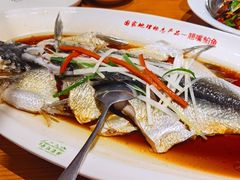 翘嘴鲌鱼-丹江渔村(望京店)