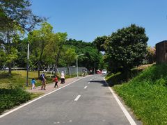 -光明小镇欢乐田园