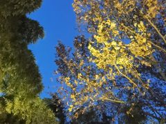 -春晖园度假酒店温泉