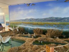 -延庆地质公园博物馆