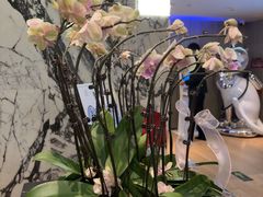 -汤悦温泉酒店(成都春熙路天府广场店)