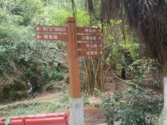 -滴水岩森林公园