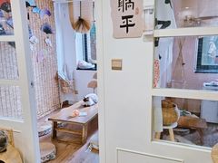 -楼上猫咖(罗湖店)
