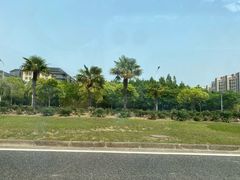 -南汇嘴观海公园