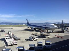 -全日本空输株式会社(上海办事处)