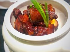红烧肉-蝶园·装修中(BFC外滩金融中心店)