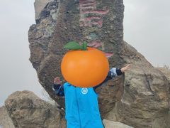 -北京鹫峰国家森林公园