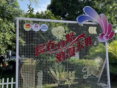 -三亚红色娘子军演艺公园景区