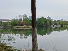 -洋湖国家湿地公园