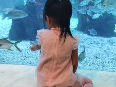 -三亚亚龙湾雅高美爵酒店