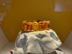 -上海昆虫博物馆