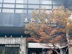 -苏州本色美术馆