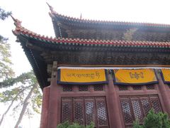 -普乐寺