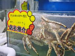 水产区-蚝专家(北滘店)