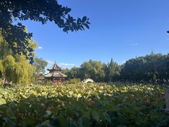 -莲池书院博物馆
