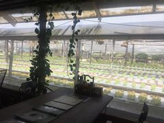 -Ohkajhu Organic Farm Sansai