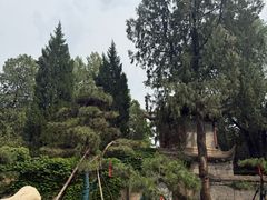 -兴教寺