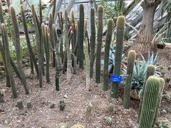 -南山植物园