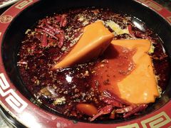 -蜀辣居鲜货老火锅(红牌楼店)