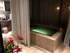 -春晖园度假酒店温泉