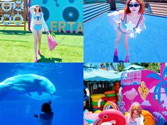 -秦皇岛乐岛海洋王国