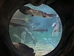 -苏州海洋馆