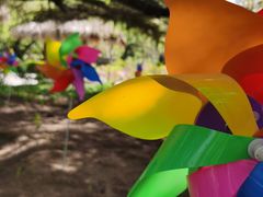 -南宫五洲植物乐园