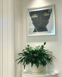 点击看大图 -东田造型